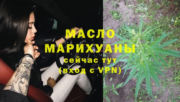 хмурый Арсеньев