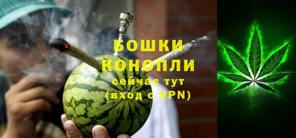 хмурый Арсеньев