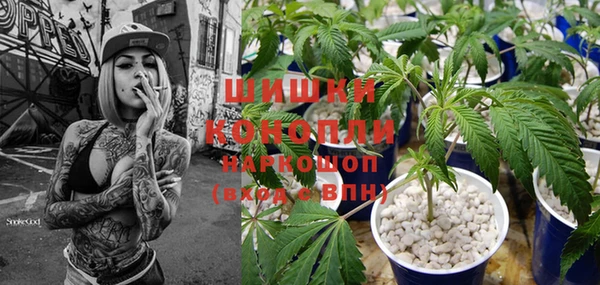 круглые Аркадак
